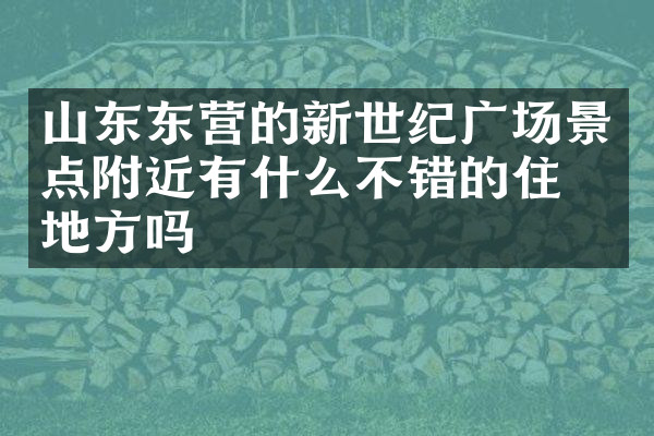 山东东营的新世纪广场景点附近有什么不错的住的地方吗