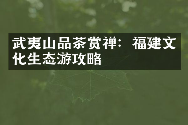 武夷山品茶赏禅：福建文化生态游攻略