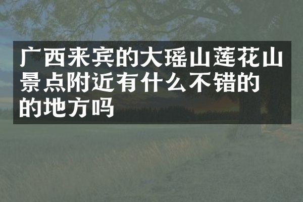 广西来宾的大瑶山莲花山景点附近有什么不错的住的地方吗