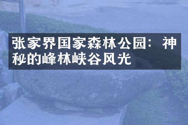 张家界国家森林公园：神秘的峰林峡谷风光