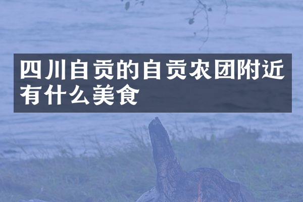 四川自贡的自贡农团附近有什么美食
