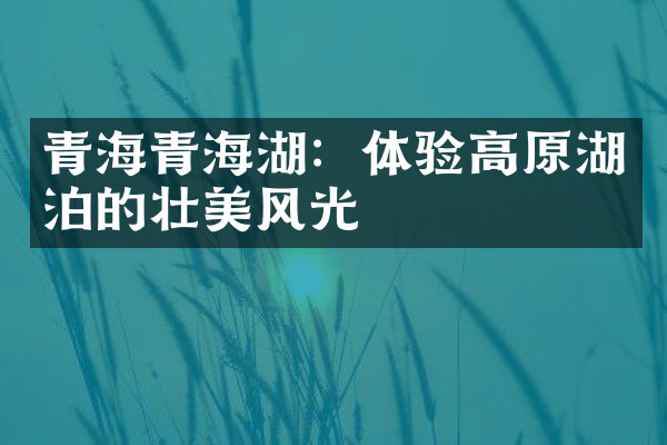 青海青海湖：体验高原湖泊的壮美风光