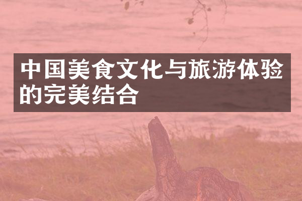 中国美食文化与旅游体验的完美结合
