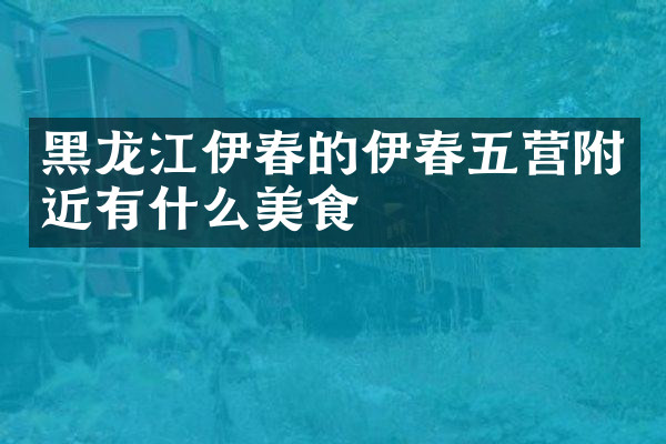 黑龙江伊春的伊春五营附近有什么美食