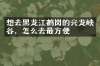 想去黑龙江鹤岗的兴龙峡谷，怎么去最方便