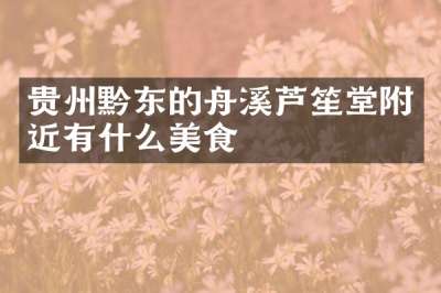 贵州黔东的舟溪芦笙堂附近有什么美食