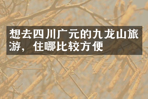 想去四川广元的九龙山旅游，住哪比较方便