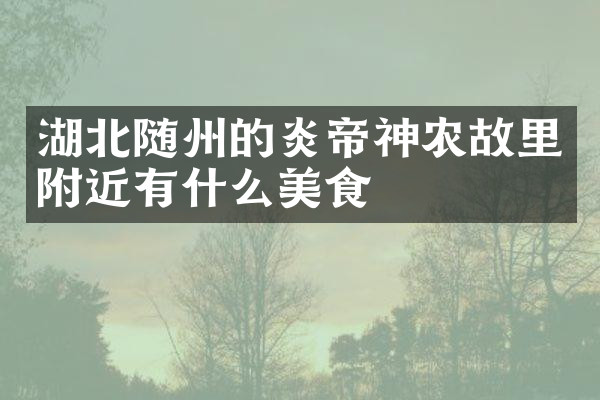 湖北随州的炎帝神农故里附近有什么美食
