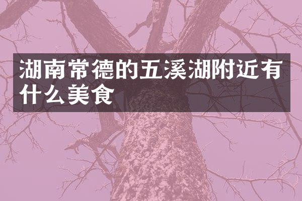 湖南常德的五溪湖附近有什么美食