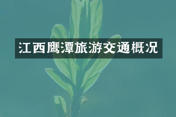 江西鹰潭旅游交通概况