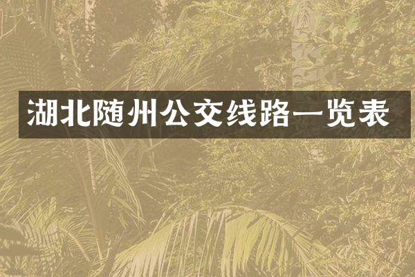 湖北随州公交线路一览表