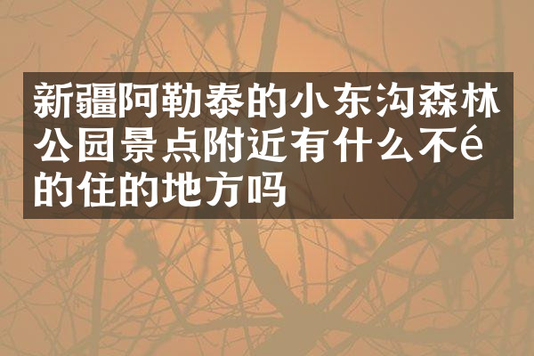 新疆阿勒泰的小东沟森林公园景点附近有什么不错的住的地方吗