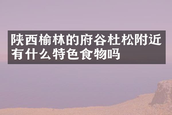 陕西榆林的府谷杜松附近有什么特色食物吗