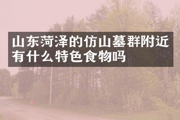 山东菏泽的仿山墓群附近有什么特色食物吗