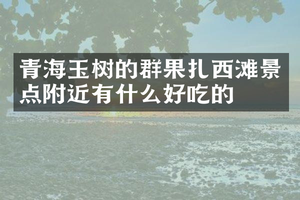青海玉树的群果扎西滩景点附近有什么好吃的