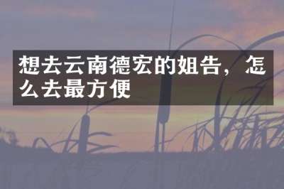 想去云南德宏的姐告，怎么去最方便