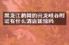 黑龙江鹤岗的兴龙峡谷附近有什么酒店旅馆吗