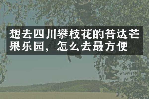 想去四川攀枝花的普达芒果乐园，怎么去最方便