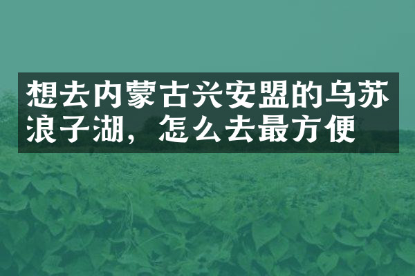 想去内蒙古兴安盟的乌苏浪子湖，怎么去最方便