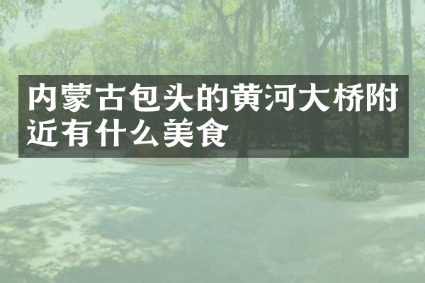 内蒙古包头的黄河大桥附近有什么美食