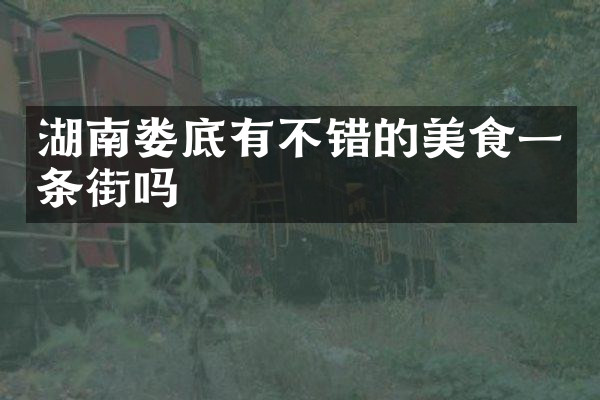 湖南娄底有不错的美食一条街吗