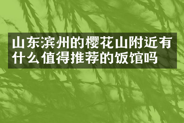 山东滨州的樱花山附近有什么值得推荐的饭馆吗