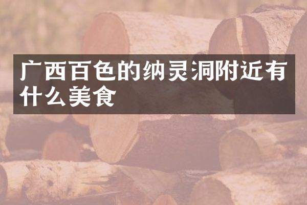 广西百色的纳灵洞附近有什么美食