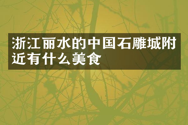 浙江丽水的中国石雕城附近有什么美食