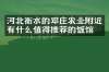 河北衡水的邓庄农业附近有什么值得推荐的饭馆吗