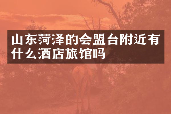 山东菏泽的会盟台附近有什么酒店旅馆吗