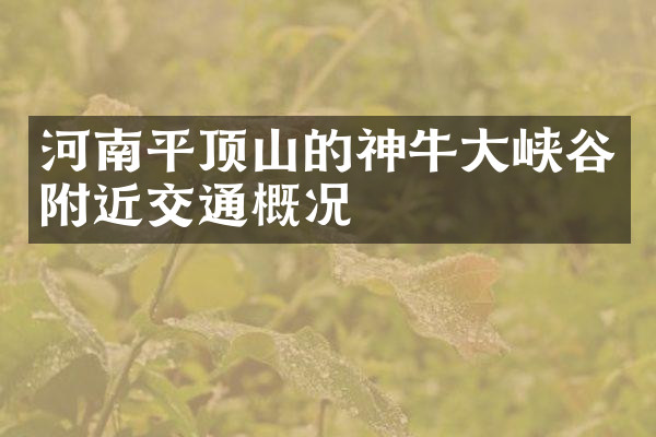 河南平顶山的神牛大峡谷附近交通概况