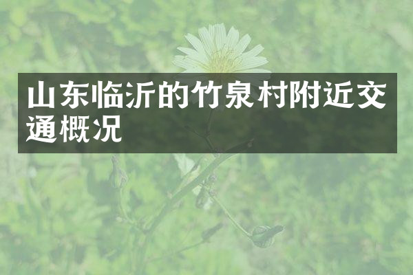 山东临沂的竹泉村附近交通概况