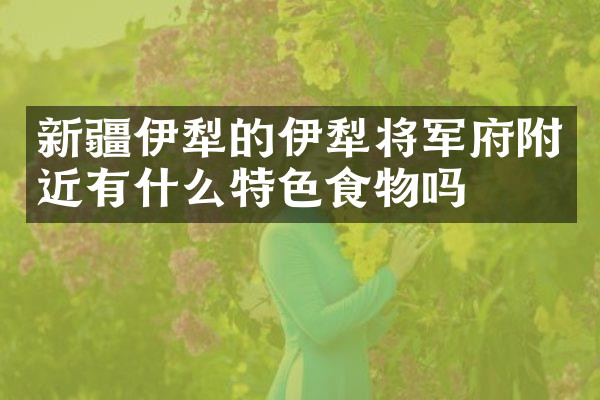 新疆伊犁的伊犁将军府附近有什么特色食物吗