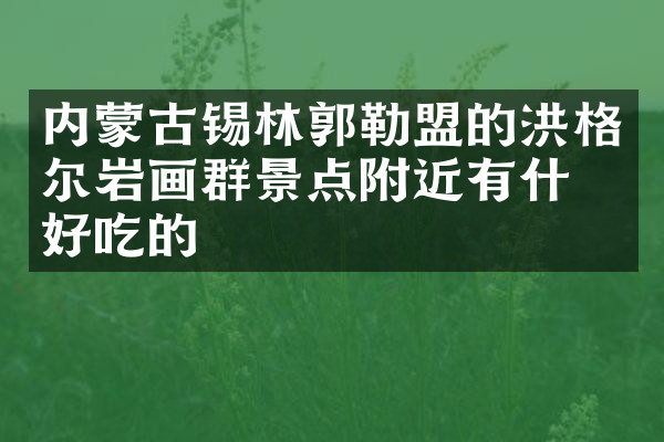 内蒙古锡林郭勒盟的洪格尔岩画群景点附近有什么好吃的