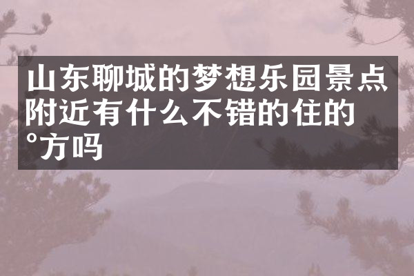 山东聊城的梦想乐园景点附近有什么不错的住的地方吗