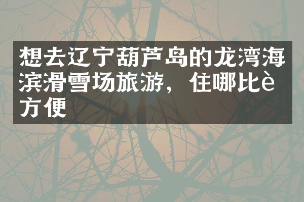 想去辽宁葫芦岛的龙湾海滨滑雪场旅游，住哪比较方便