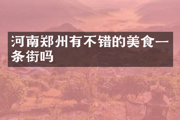 河南郑州有不错的美食一条街吗