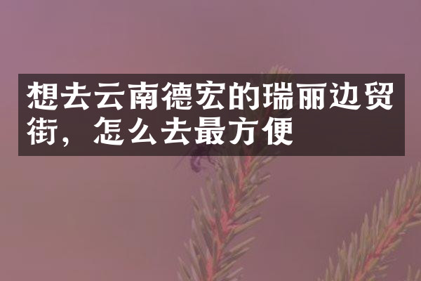 想去云南德宏的瑞丽边贸街，怎么去最方便