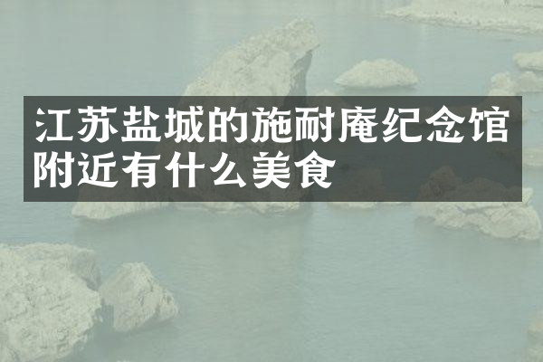 江苏盐城的施耐庵纪念馆附近有什么美食