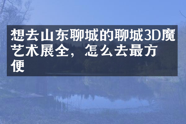 想去山东聊城的聊城3D魔幻艺术展全，怎么去最方便