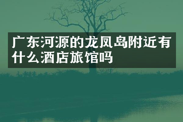 广东河源的龙凤岛附近有什么酒店旅馆吗