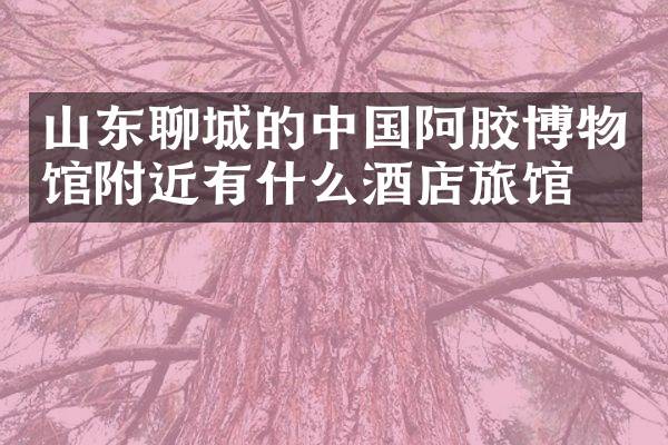 山东聊城的中国阿胶博物馆附近有什么酒店旅馆吗