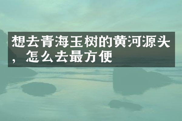 想去青海玉树的黄河源头，怎么去最方便