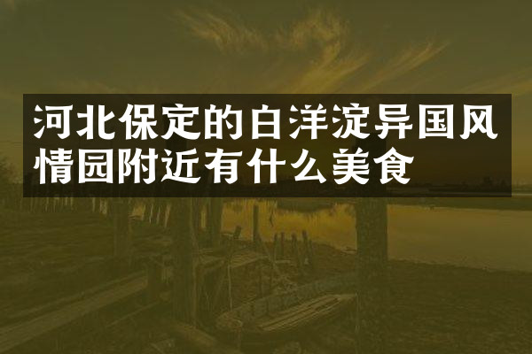 河北保定的白洋淀异国风情园附近有什么美食