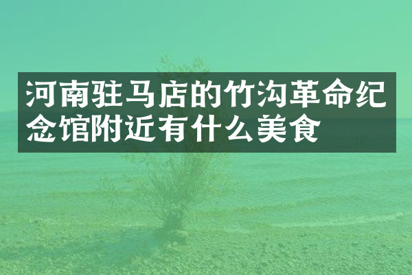 河南驻马店的竹沟革命纪念馆附近有什么美食