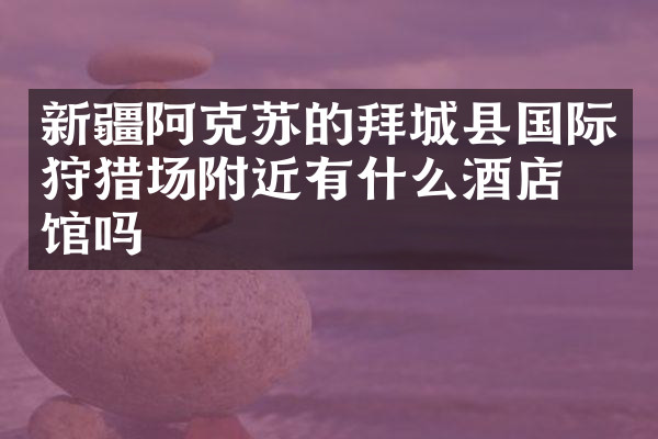 新疆阿克苏的拜城县国际狩猎场附近有什么酒店旅馆吗