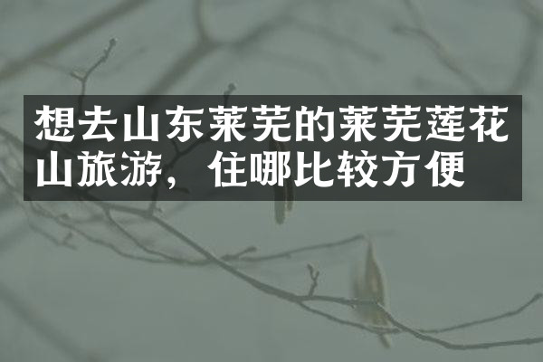 想去山东莱芜的莱芜莲花山旅游，住哪比较方便