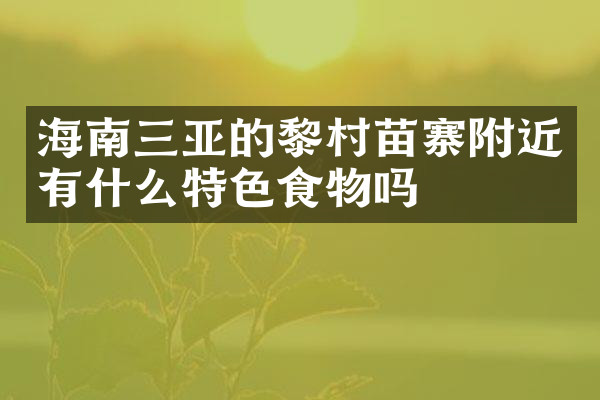 海南三亚的黎村苗寨附近有什么特色食物吗