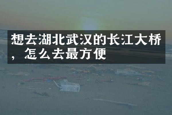 想去湖北武汉的长江大桥，怎么去最方便