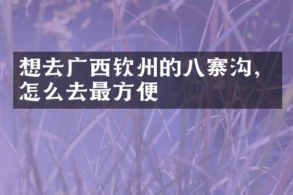 想去广西钦州的八寨沟，怎么去最方便